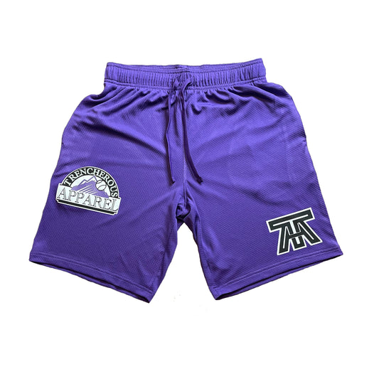TA Mesh Shorts (Purple)