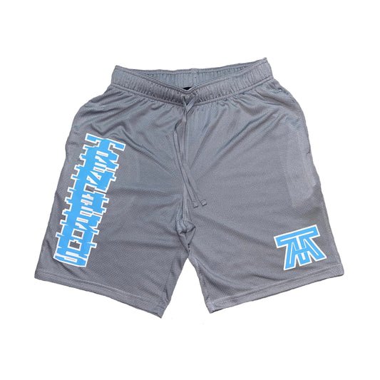 Trencherous Mesh Shorts (Grey)